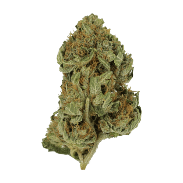 Bubblegum – 1 ounce | Herb Approach Canada