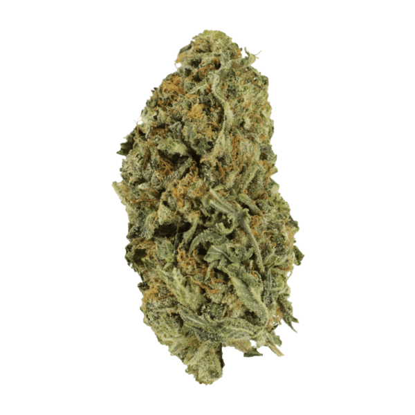 Black Gorilla | Herb Approach Canada