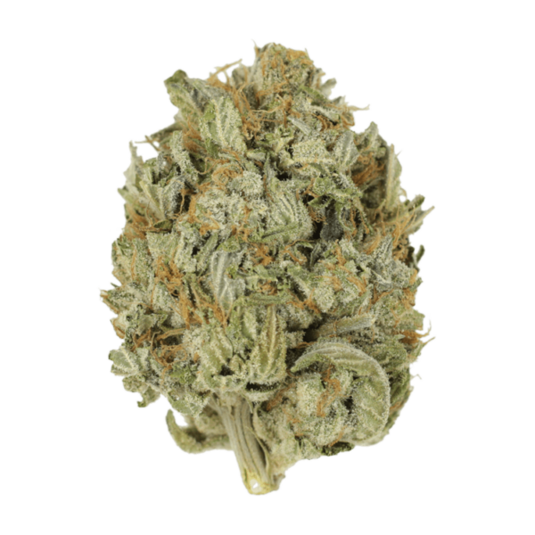 Blue Dream (Popcorn) | Herb Approach Canada