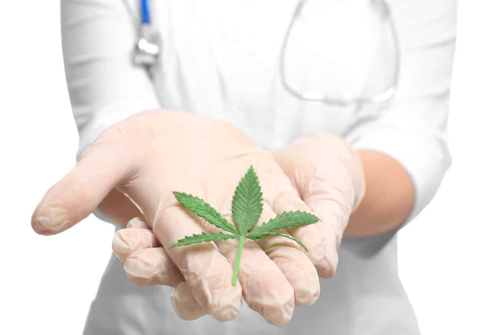 Cannabis as a natural cure for pain | Herb Approach Canada