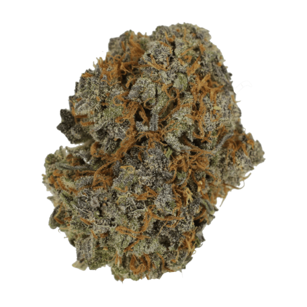 Jack Herer 1 Ounce | Herb Approach Canada