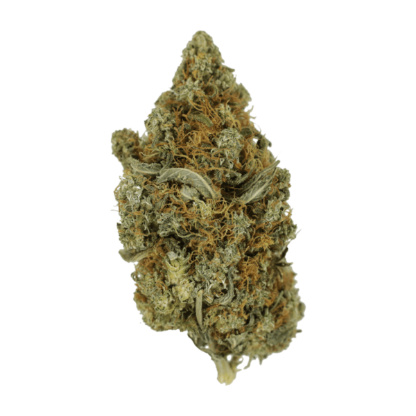 Jack Herer 1 Ounce | Herb Approach Canada