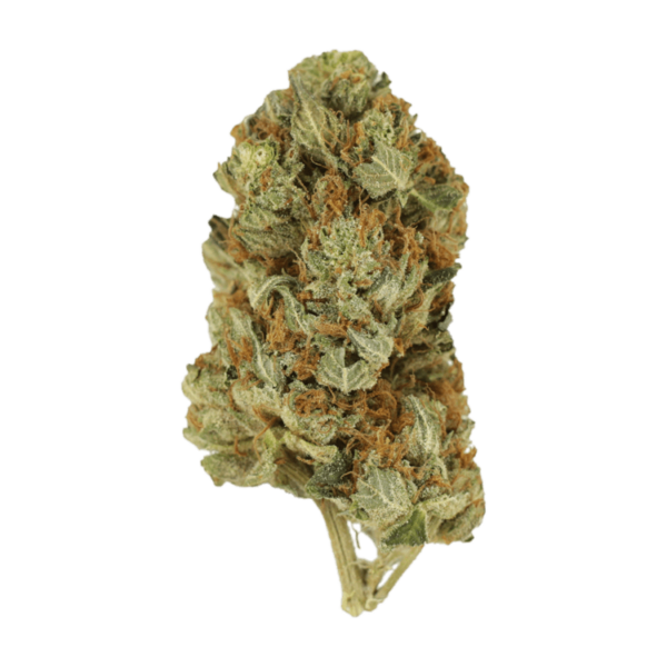 Jet Fuel | Herb Approach Canada