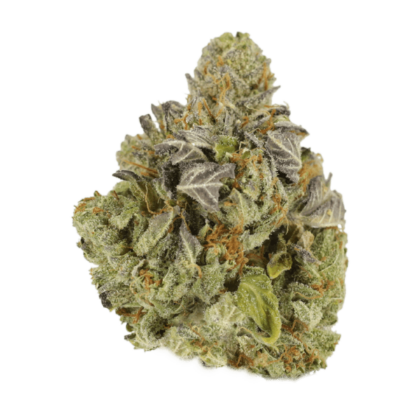 Jet Fuel | Herb Approach Canada