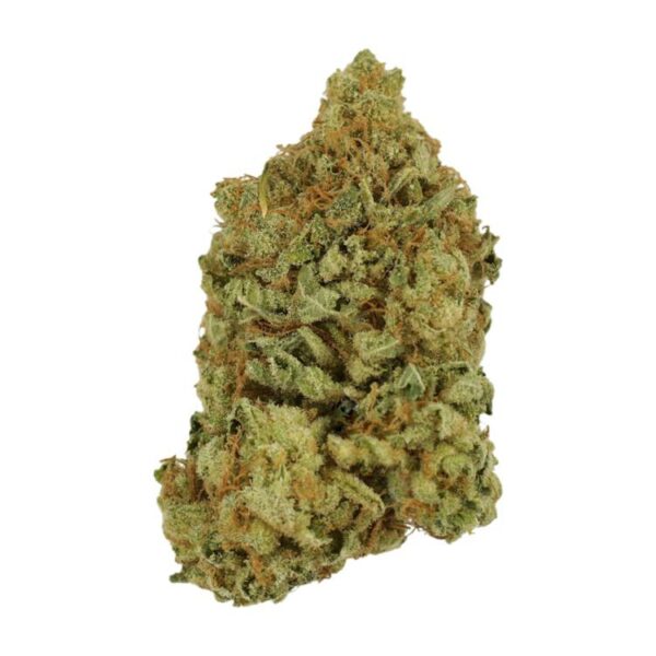 Blueberry | Herb Approach Canada