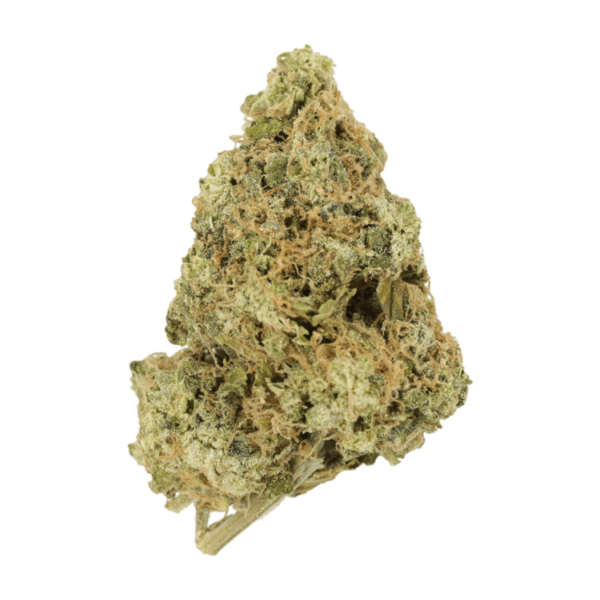 Zombie OG | Herb Approach Canada