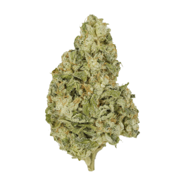 Zombie OG | Herb Approach Canada