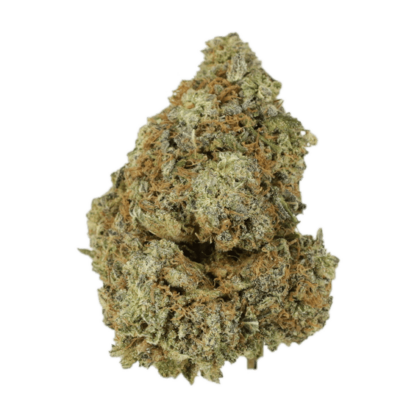 Granddaddy Purple | Herb Approach Canada