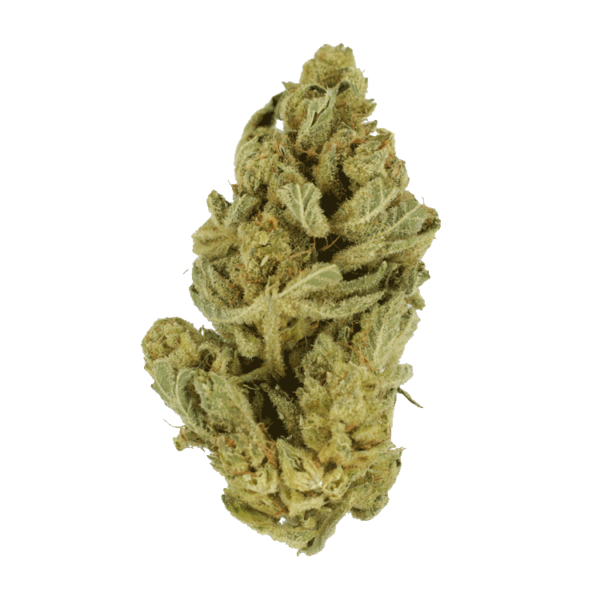 Hindu Kush – 7g | Herb Approach Canada