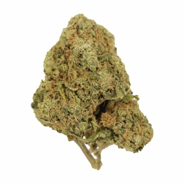 Tangerine Dream | Herb Approach Canada