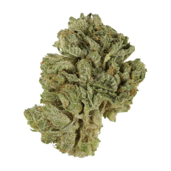 Northern Lights 2 for $69 | Herb Approach Canada