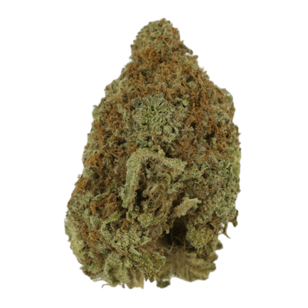 Mango Haze | Herb Approach Canada