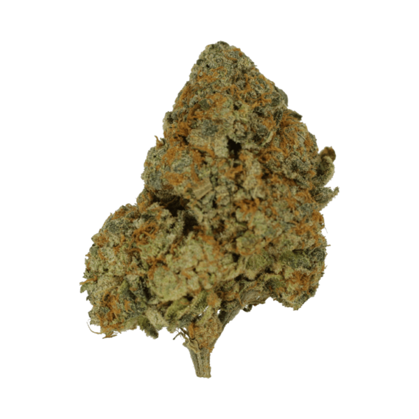 9lb Hammer | Herb Approach Canada