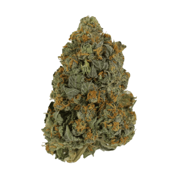 Skunkberry – 1 ounce | Herb Approach Canada