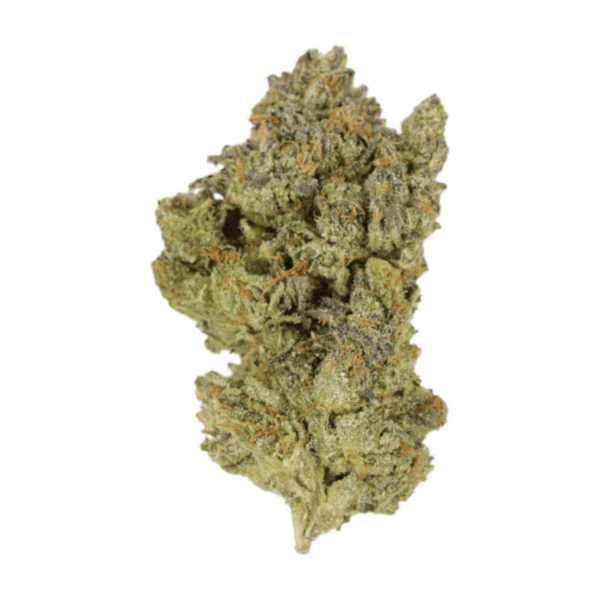 Golden Goat | Herb Approach Canada