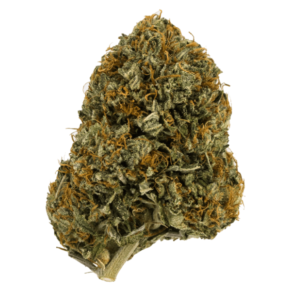 Wifi OG – 1 ounce | Herb Approach Canada