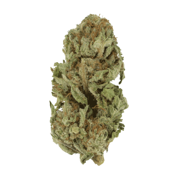 Golden Goat | Herb Approach Canada