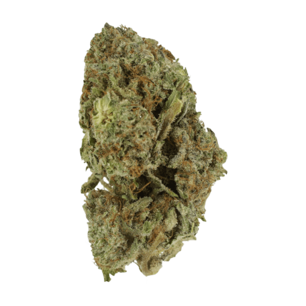 Gelato Sorbet – 1 ounce | Herb Approach Canada