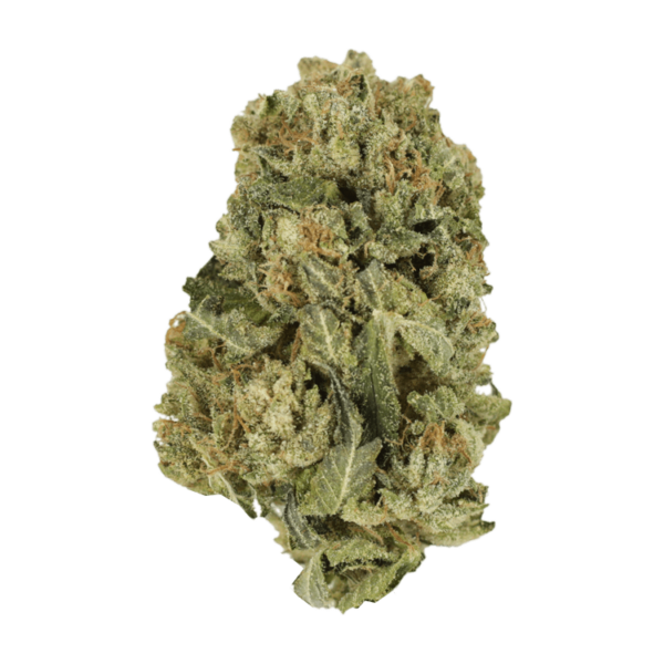 Black Domina | Herb Approach Canada