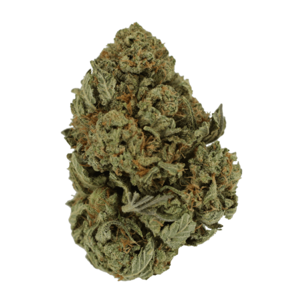 Master Kush Ultra | Herb Approach Canada