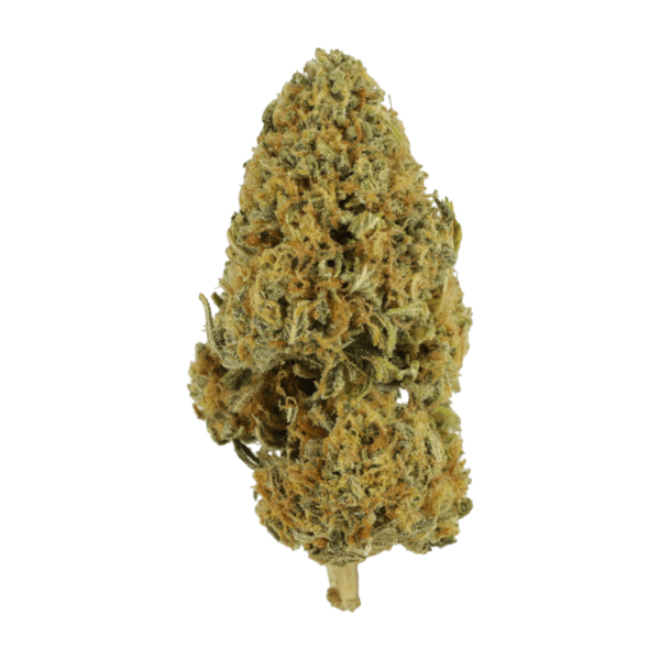 Grapefruit – 1 ounce | Herb Approach Canada