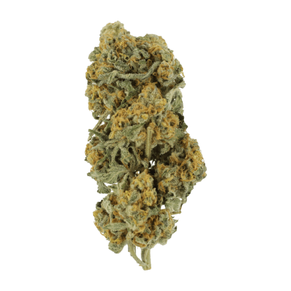 Miracle Alien Cookies | Herb Approach Canada