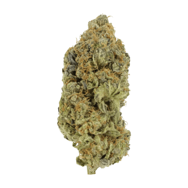 Critical Widow | Herb Approach Canada