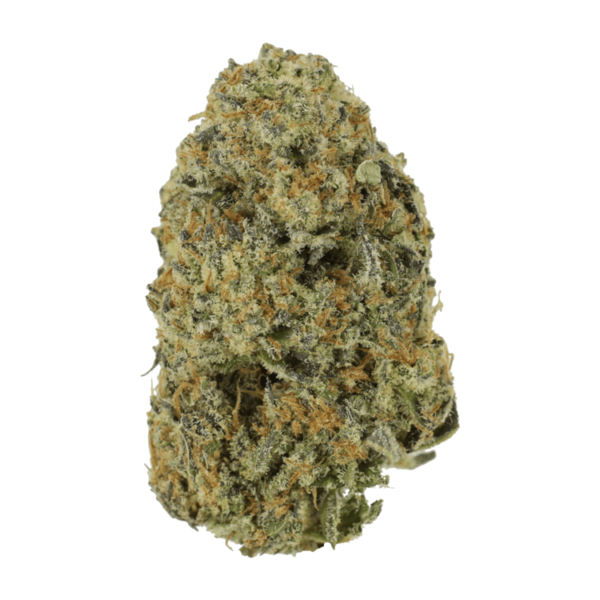 Northern Haze Express | Herb Approach Canada