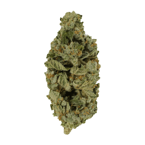 Crazy Glue | Herb Approach Canada