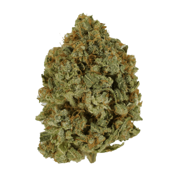 Crazy Glue | Herb Approach Canada