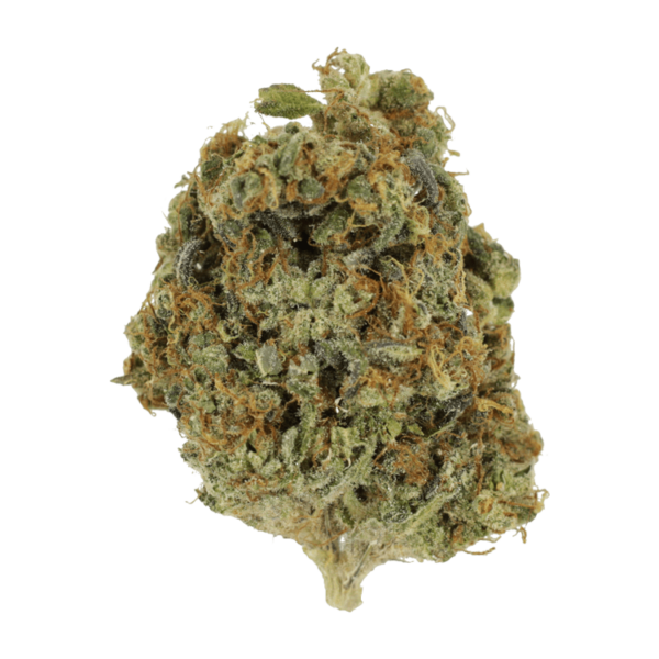 Sunset Sherbert | Herb Approach Canada