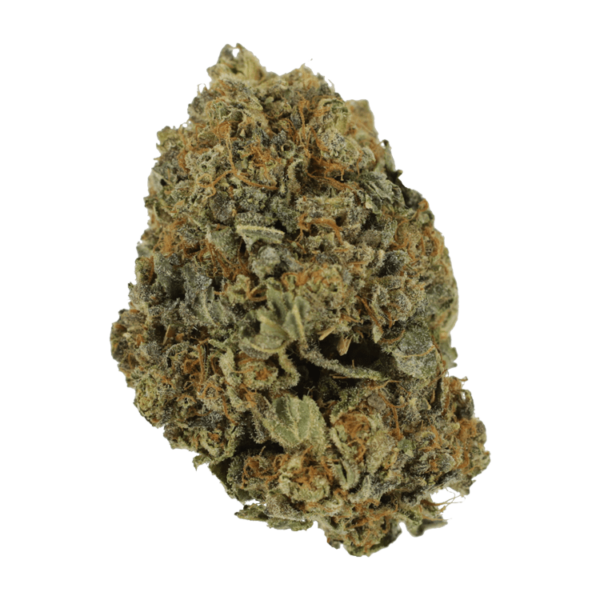 White Shark – 1 ounce | Herb Approach Canada