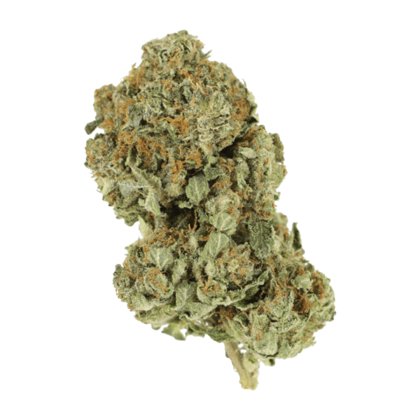 Romulan | Herb Approach Canada