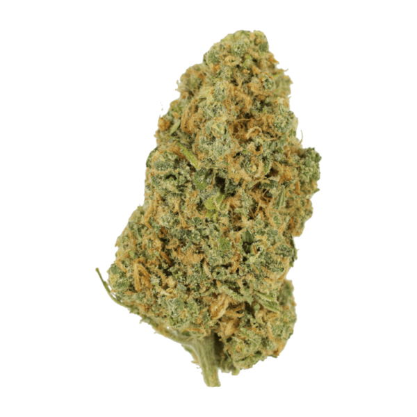 Lemon Bomb | Herb Approach Canada