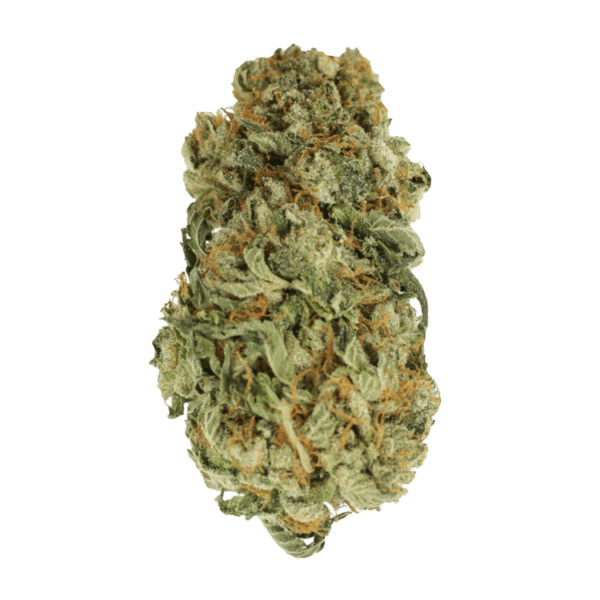 King Louis – 1 ounce | Herb Approach Canada