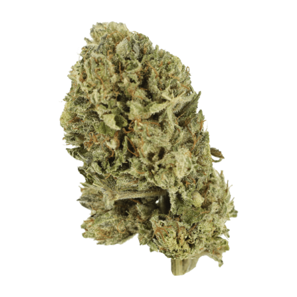 Purple OG Kush – 1 ounce | Herb Approach Canada