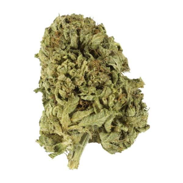 Strawberry Romulan | Herb Approach Canada