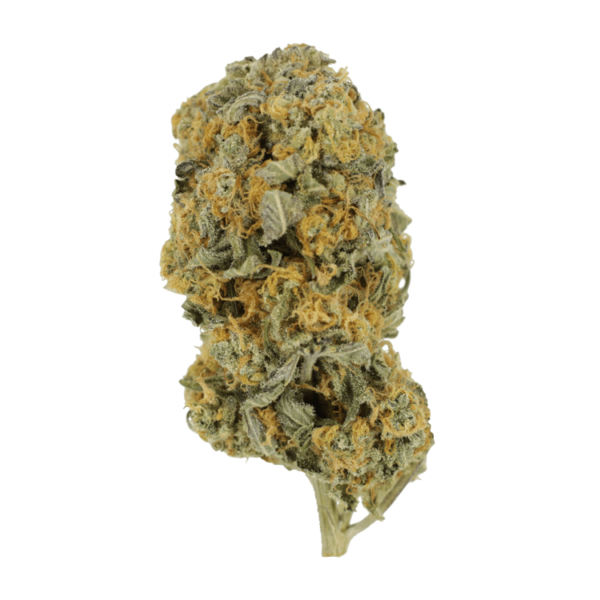 Sour Prince | Herb Approach Canada