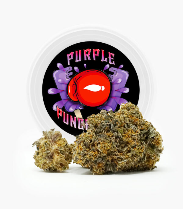 Westcoast Cali Tins – Premium Flower – Purple Punchsicle – 14g | Herb Approach Canada