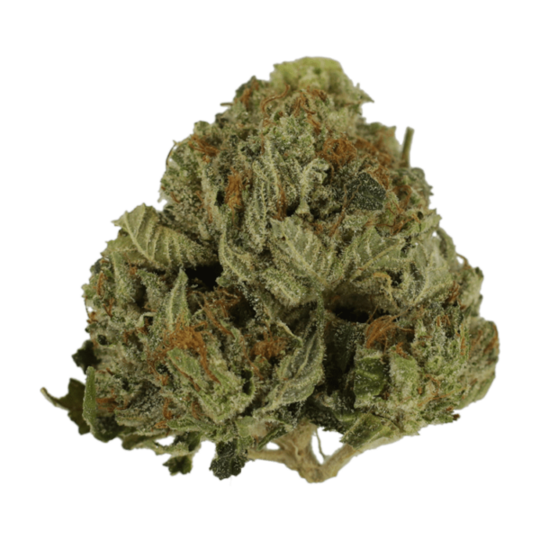 Pink Animal – 1 ounce | Herb Approach Canada