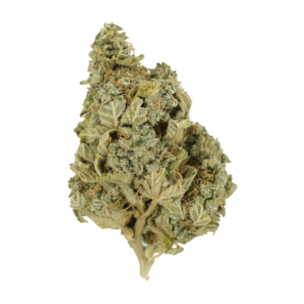 Khalifa Kush | Herb Approach Canada