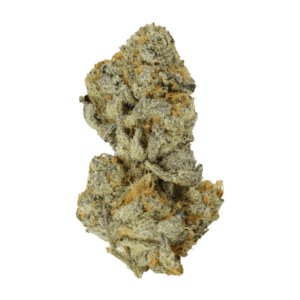 Bison Breath | Herb Approach Canada