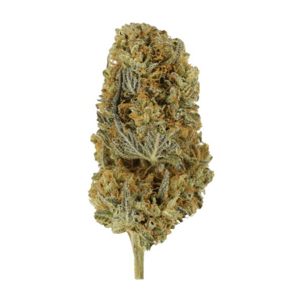 Headband | Herb Approach Canada