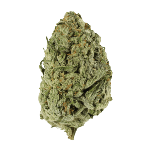 Lemon Meringue 1 Ounce | Herb Approach Canada