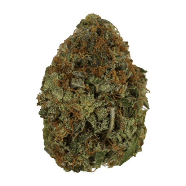 Orange Romulan | Herb Approach Canada