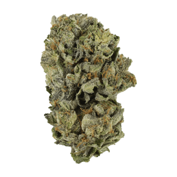 Cerebro Haze | Herb Approach Canada