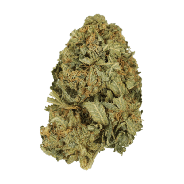 G13 | Herb Approach Canada