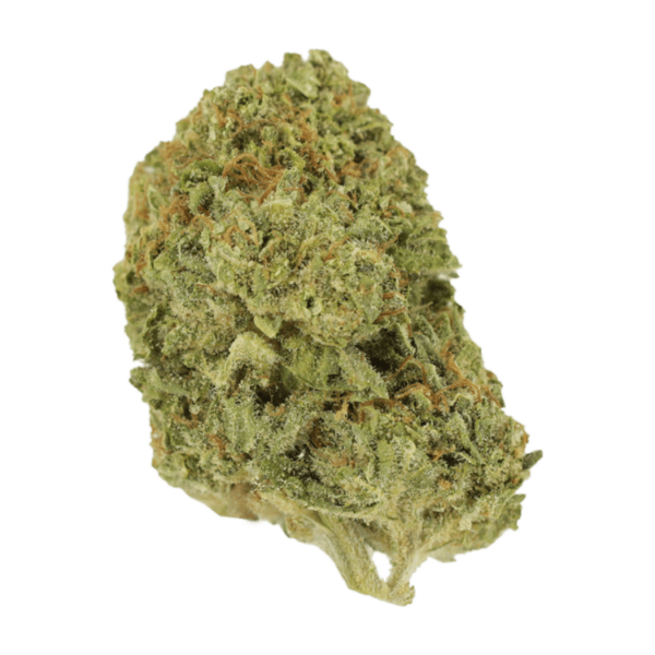 Mango Cream | Herb Approach Canada