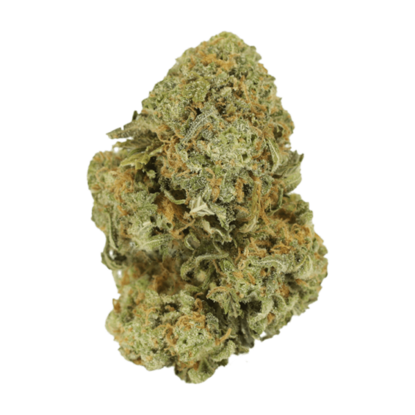 Watermelon Gelato | Herb Approach Canada