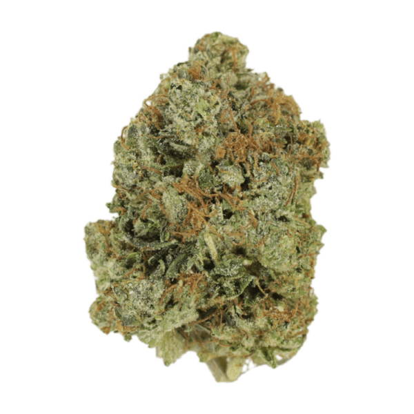 Jack Herer (popcorn) | Herb Approach Canada